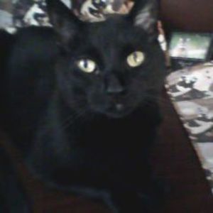 Meet your Posher, Gerry